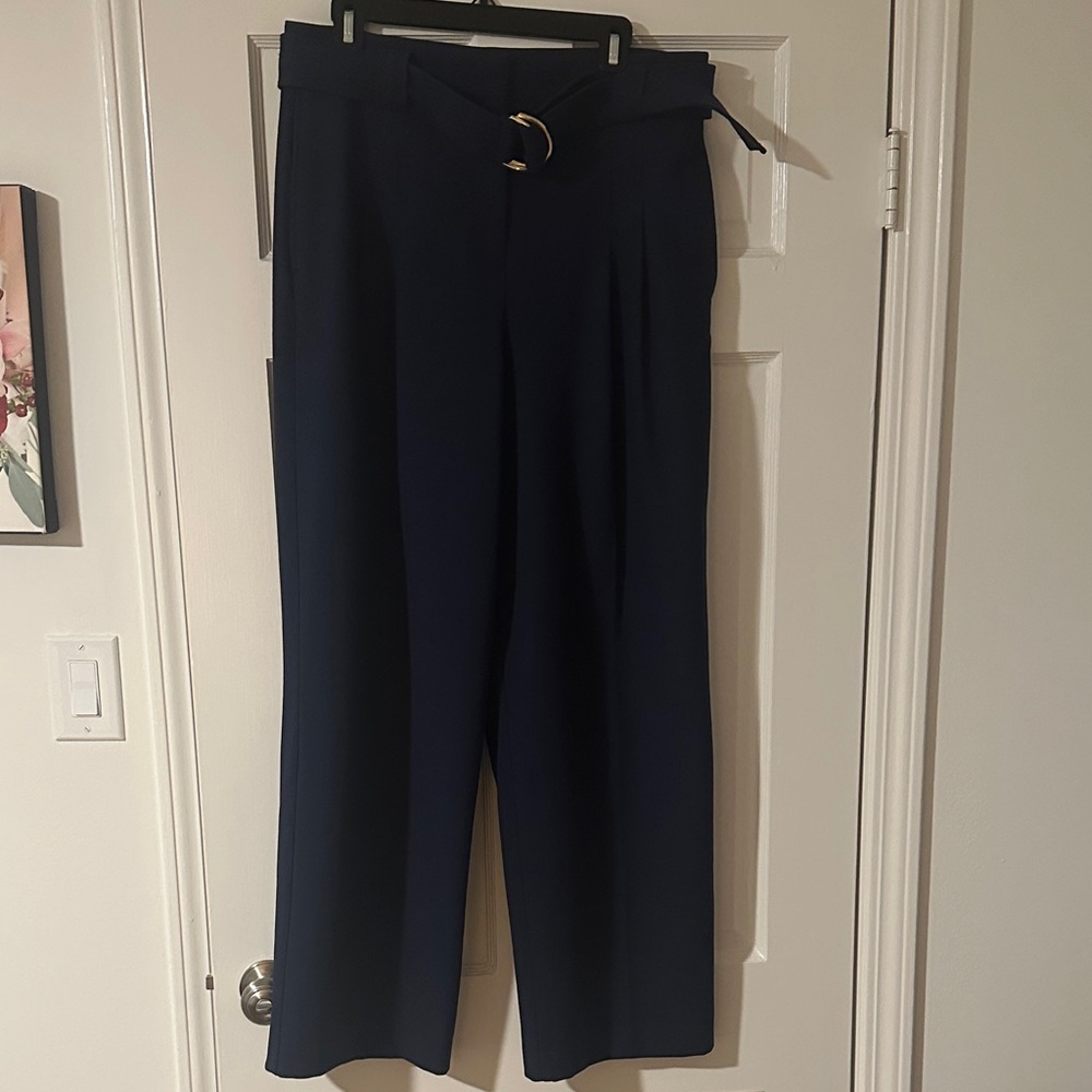 Ann Taylor Navy Wide Leg Pants